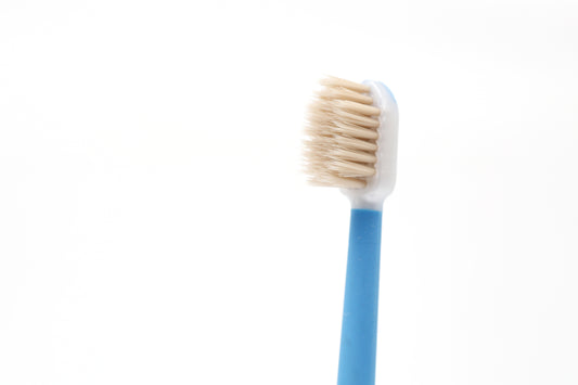 SMART MISWAK LUXURY - Bleu