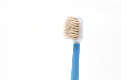 SMART MISWAK LUXURY - Bleu
